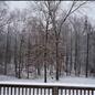 The beauty of snow in Radcliff,Ky